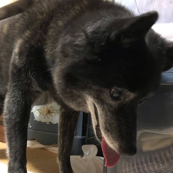 2dcf34c7 54d1 4b1e 847d 5e631ff6b8af 1563889178405