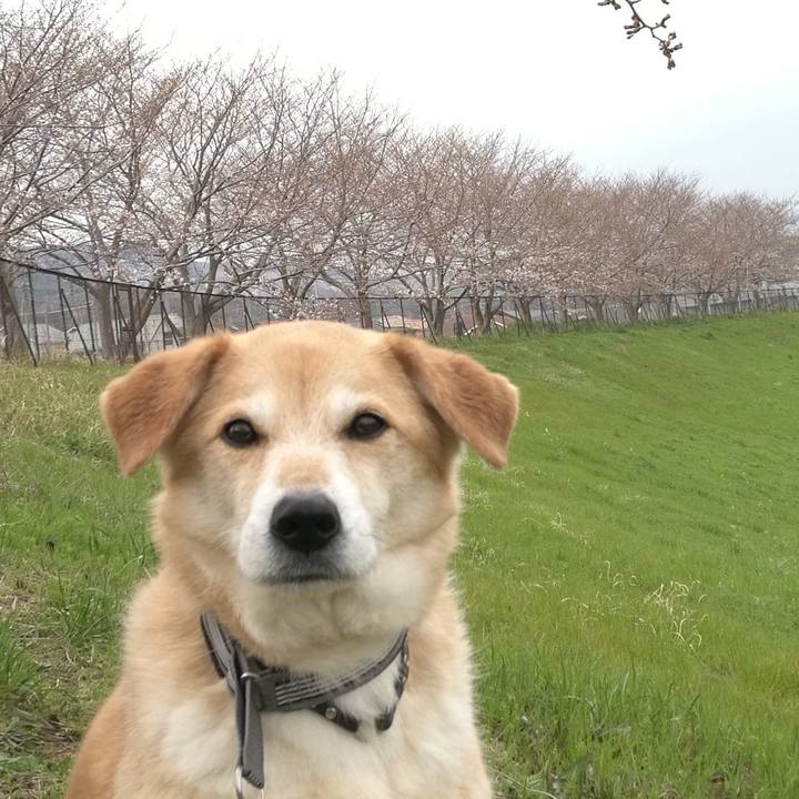 2dcf3fa3 75fb 4dcf 9ed2 fd09fee16882 1553750390802