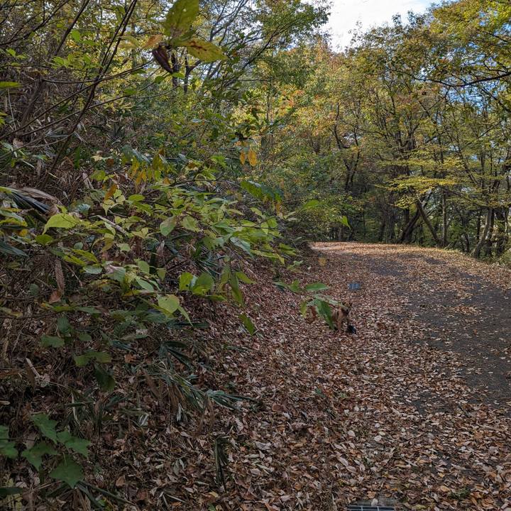 2dcf9856 db5e 4c9c 9507 e17b1f3f7444 1700298737623