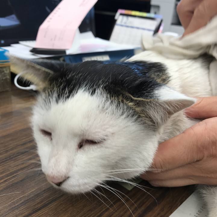 2dcf9abe 3df3 44b2 8296 5c585cbea2ab 1512627317345