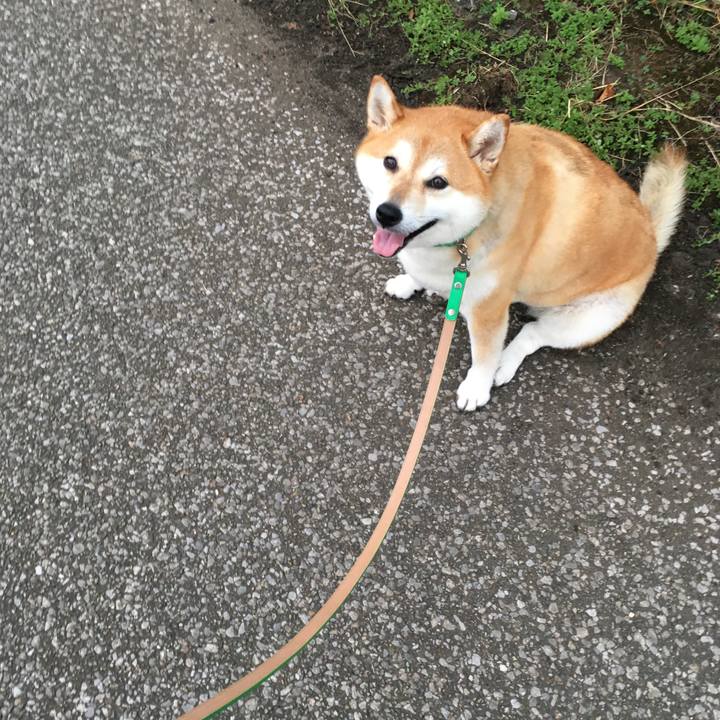 2dcfa34d 16f2 4a48 99a5 d15bb1c521ac 1600592078443