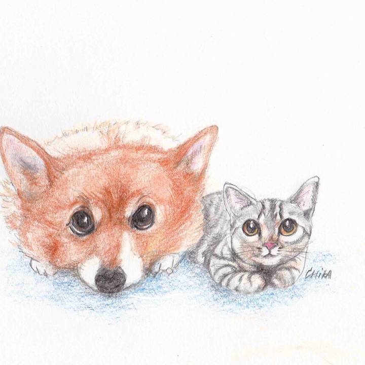 2dcfa474 af66 4380 9ed5 549648d472b2 1572440906148