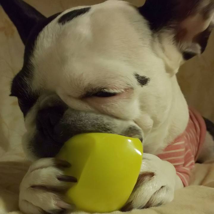 2dcfd18c 0772 4d1f bdad 5735ec76026c 1552386470657