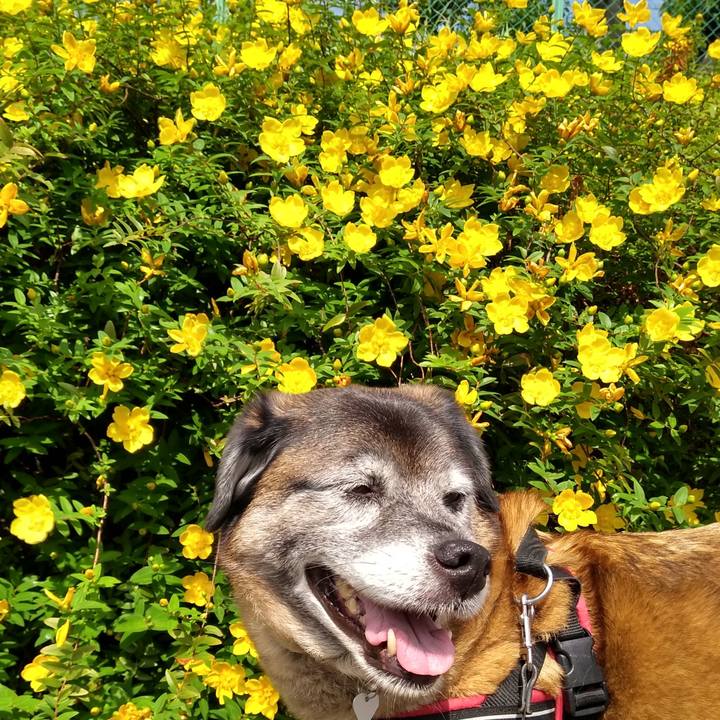 2dcff227 ae46 47c2 b71c 82cfd7ffcc9d 1559521625779