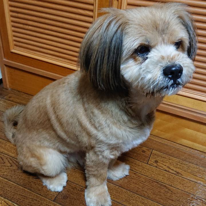 2dd00bb6 edf5 497f 91f9 79e59dbcbb47 1583404502810