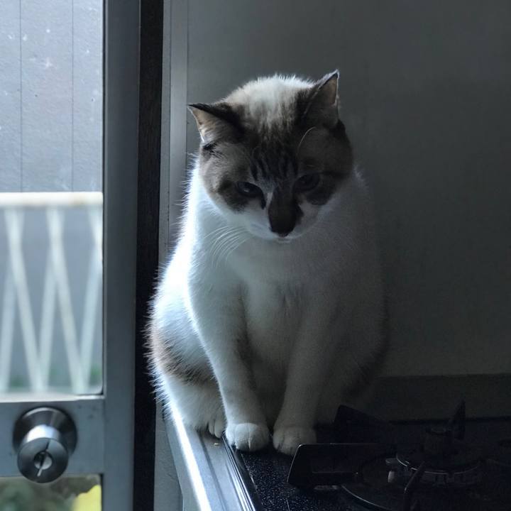 2dd00fe6 6e42 4aef b505 a1b65157dfdc 1513472761594