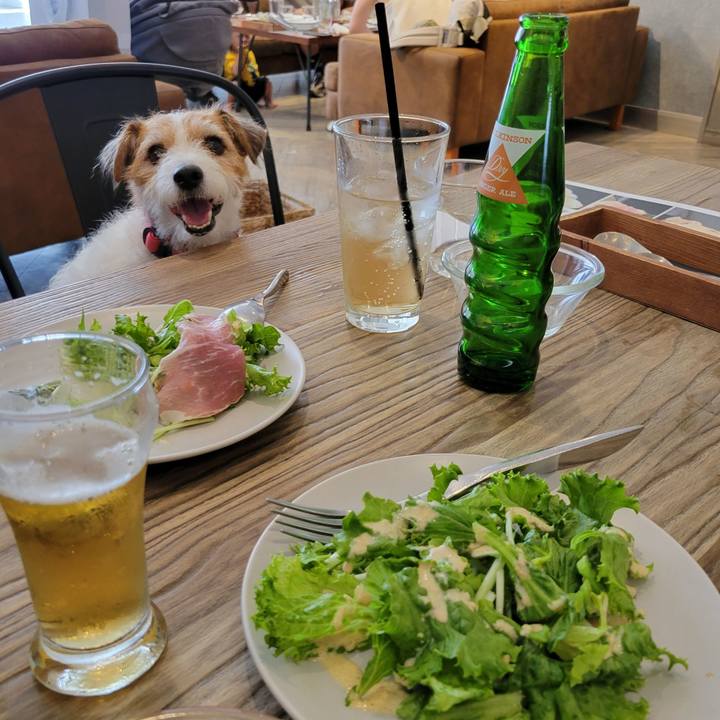 2dd04039 a709 4a7b 91d5 85a1e79a8bc4 1691212982904