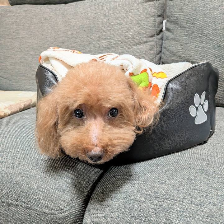 2dd075ec de64 475c 9b29 a4b5b139df60 1772542485521