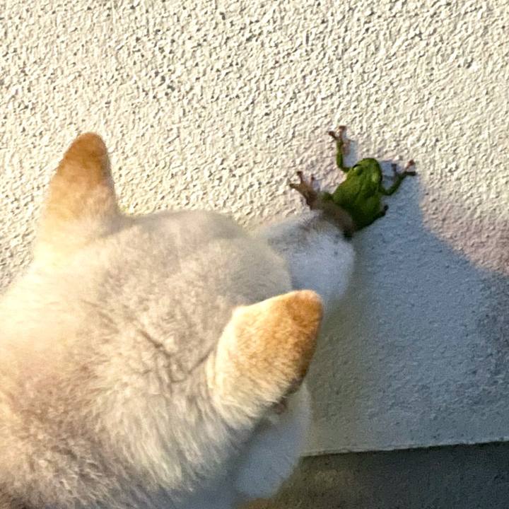 2dd07a09 1f34 4e98 9069 2c2f373df3f7 1620214248349