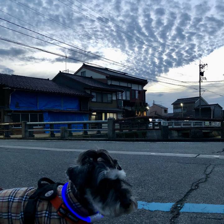 2dd08021 255b 403e ac7e 2cf9842d93de 1706968744807