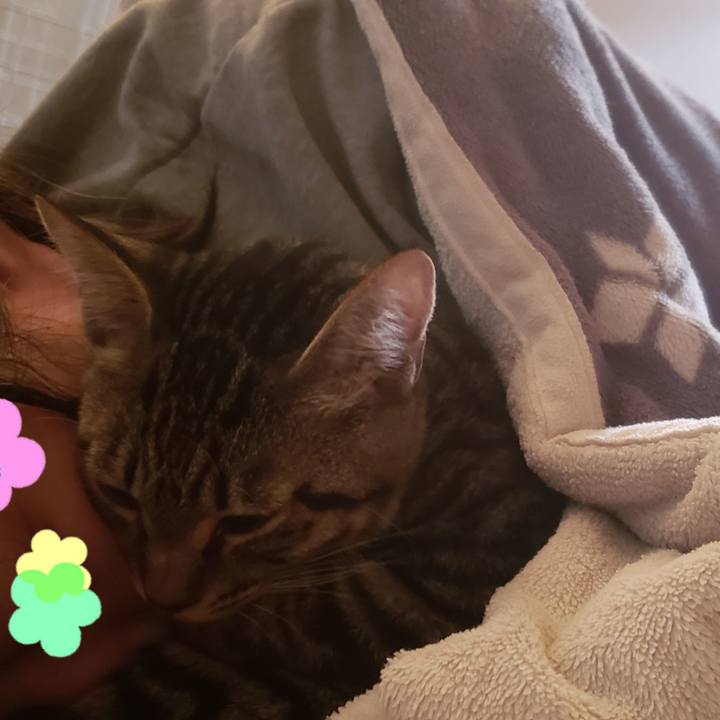 2dd082b3 4cb2 4147 8304 018a1038ce3b 1542664324579