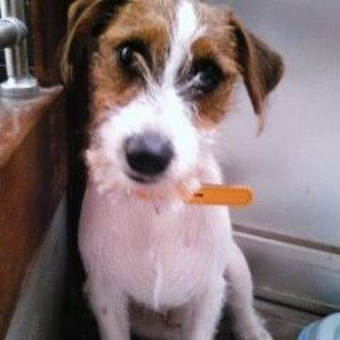 2dd099f2 7ea6 4736 9770 2ecc653708a6 1522135727772