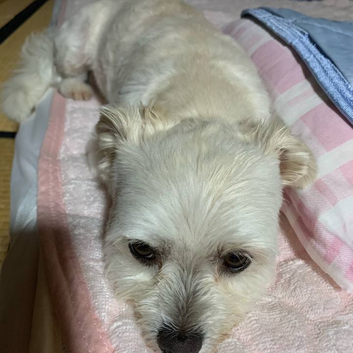 2dd0cef7 24ab 4c8d 8eee 8a3423c0b03b 1592303796022