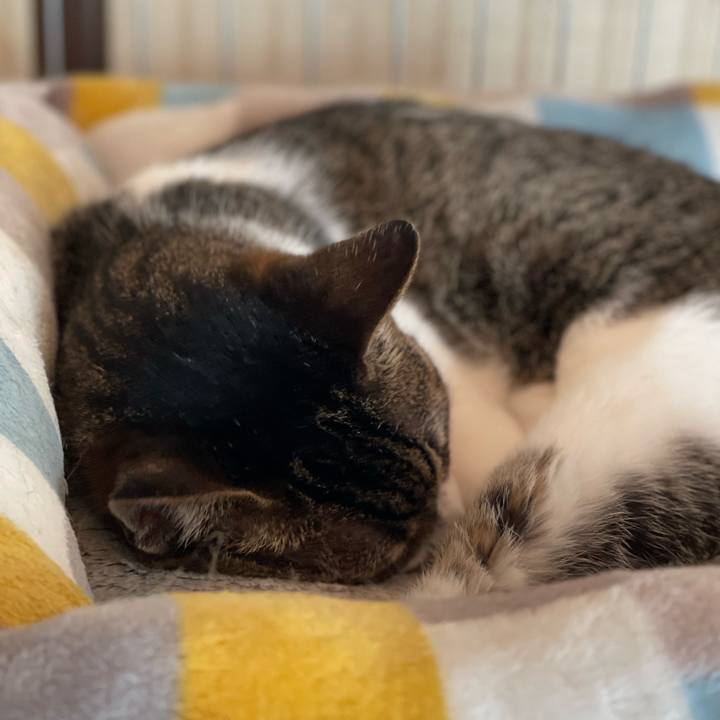 2dd0dd3b aaeb 4a4e 8193 7ec48d739a43 1658629867820