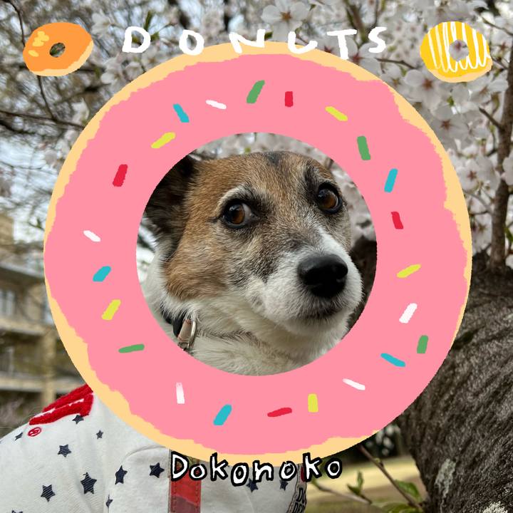 2dd0dfc6 8a95 4afa 8d8f 87c7c71cc2d9 1744299116569