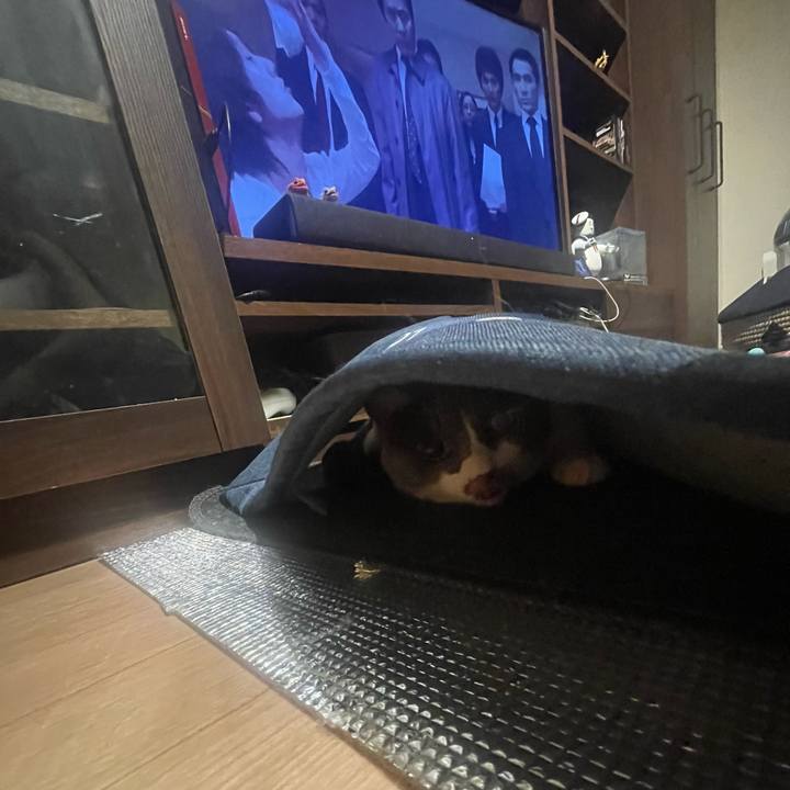 2dd0f831 c46f 4f67 9913 9d6ae9fcefdf 1692271711867