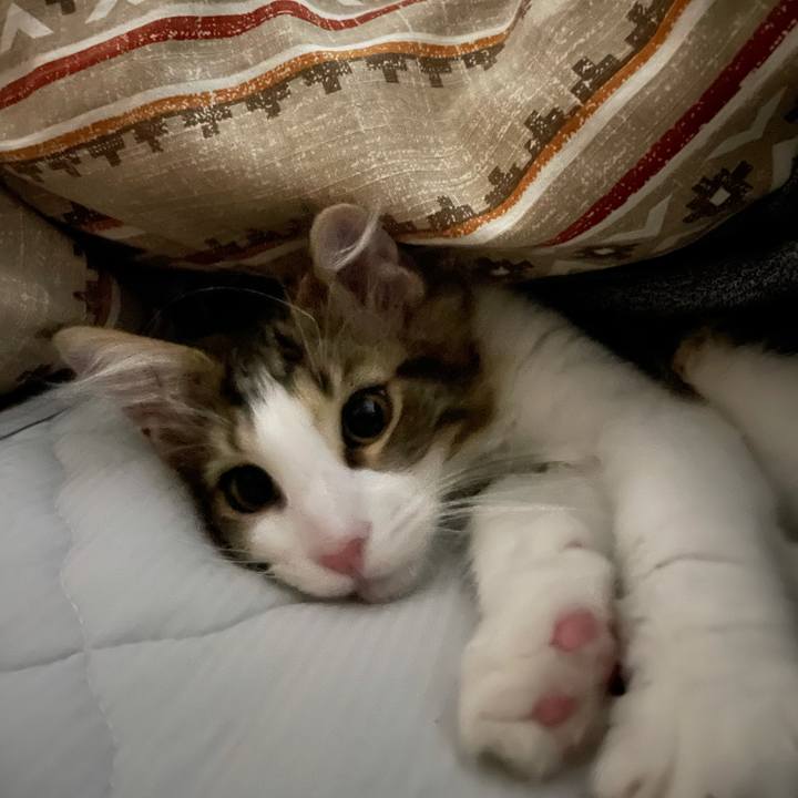 2dd112d5 873b 4ec8 a699 2a75f4ac4579 1634217963172