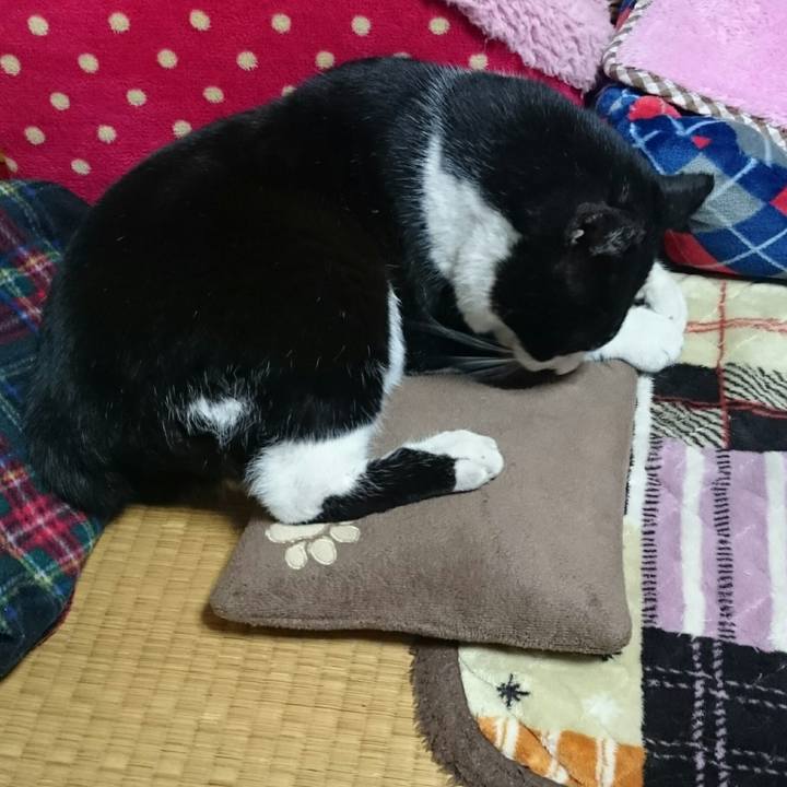 2dd12b29 0504 445e b51b b04fabb0db2b 1519732438123