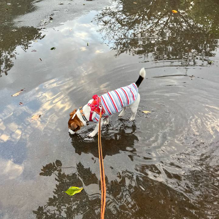 2dd157e9 31c8 4e2b b5ee a5d18bf7f75f 1725172921866