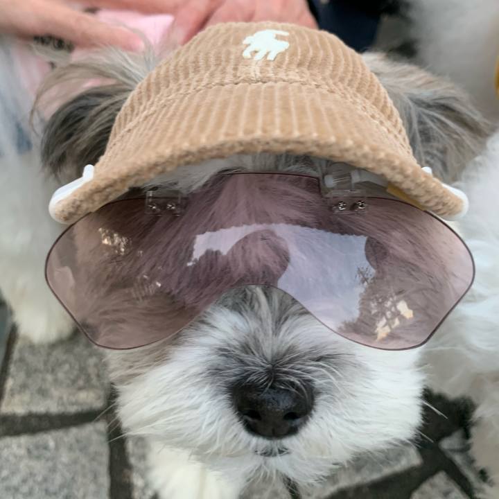 2dd1590e fc2a 4c0c a764 5974d2c10cdb 1603343665982