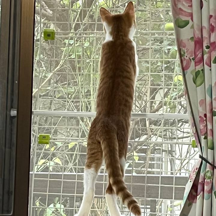 2dd16a82 d485 4007 8ea4 c73f07e175ee 1635739828368