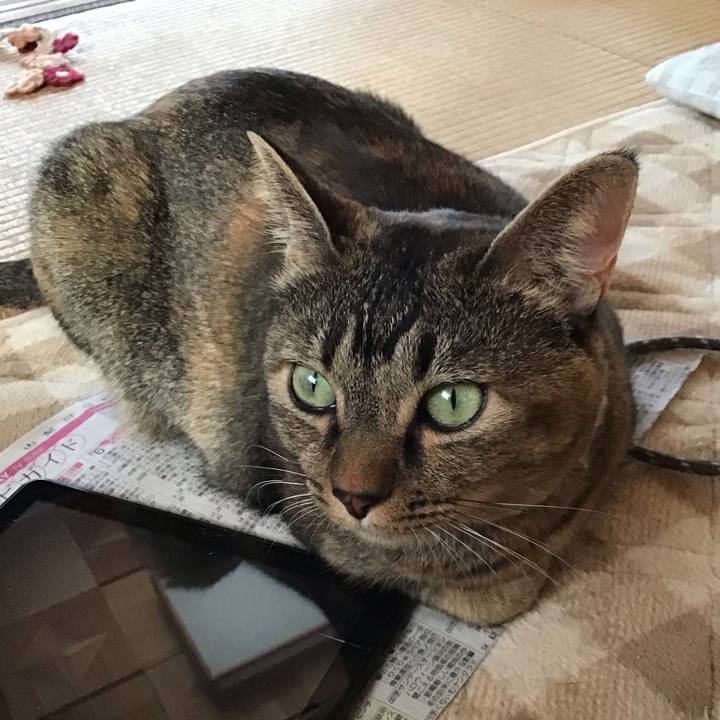 2dd1bc11 6eac 4c37 aba5 4a2a62edfc91 1667177976627