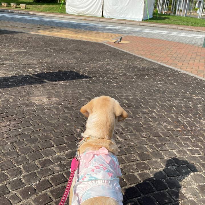 2dd1c1fc 95b9 41c4 921d 397072545b26 1619682741187