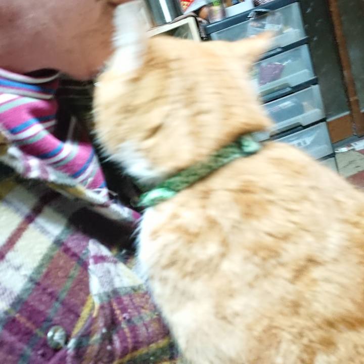 2dd1c592 959b 4ade aa4b fd1a5ef9fc39 1581801069013