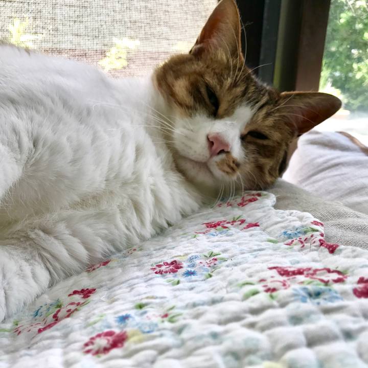 2dd1e9bc 67c9 4c49 bda4 e450901acb49 1563588179878