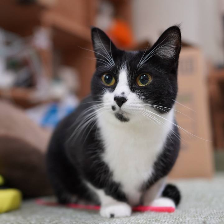 2dd1ec50 2339 4043 9da2 d7a6d4d0e841 1730699844767