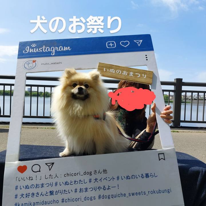 2dd1ef81 16b0 41c0 bd7d 31f328e475f6 1682245946760