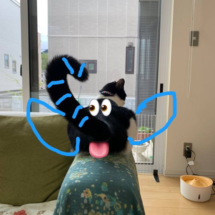 2dd211b8 2c91 4549 85bb b31296e5bc62 1607917722984