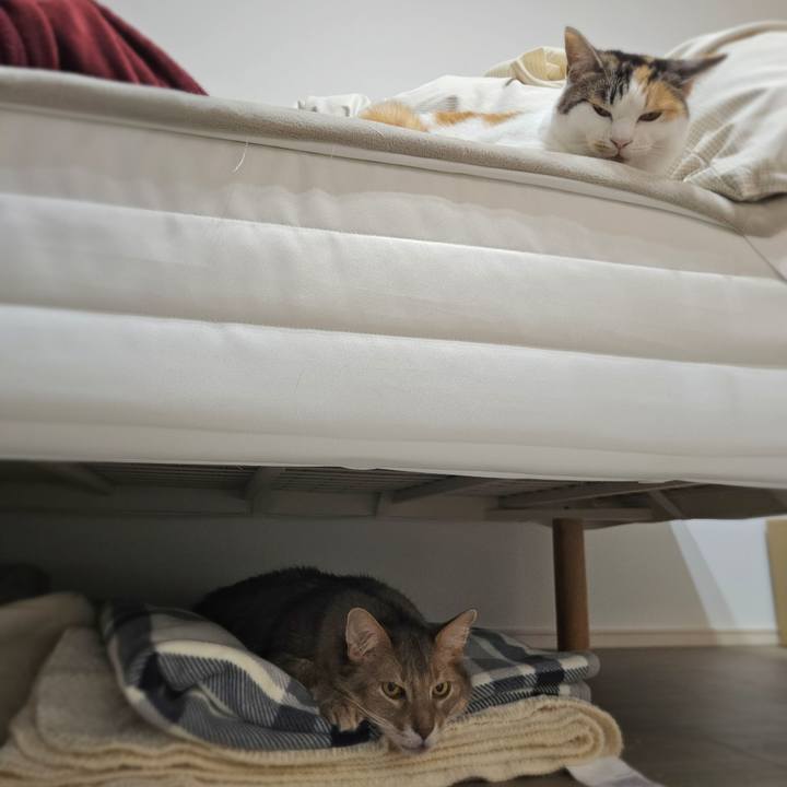 2dd21812 dbc5 459a b63a 52942ee94b54 1771503059170