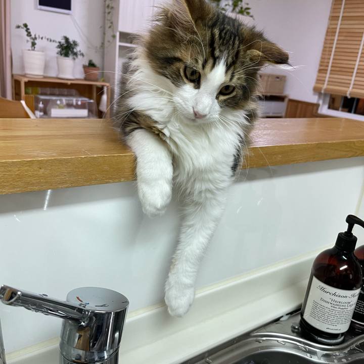 2dd226c8 db0f 4d10 9894 b1c941436be1 1635539411063