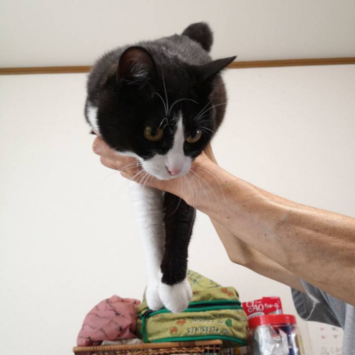 2dd24704 65f8 46a6 a3d1 18bf4d58b9d4 1594610884188