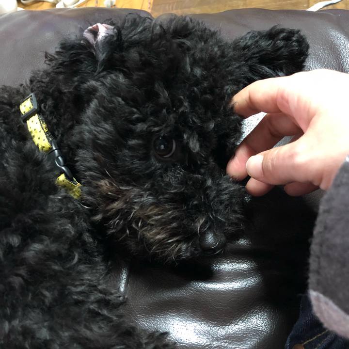 2dd24fe2 08ed 4113 a3f0 0612f6e9d4ad 1508632297108