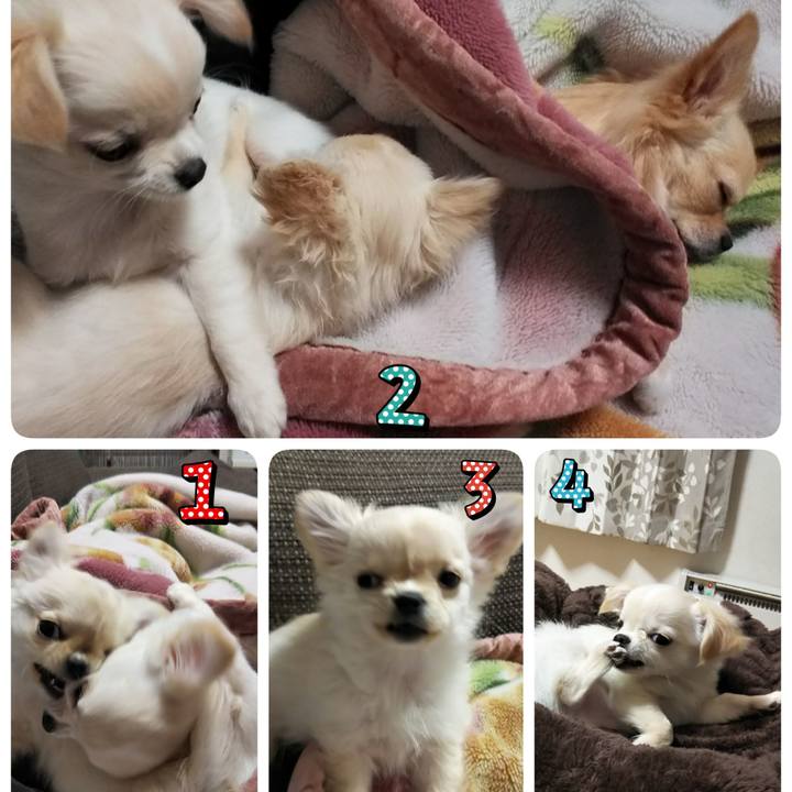 2dd24ffb ac2b 4f27 8dc6 d8d013d6447f 1546037528786