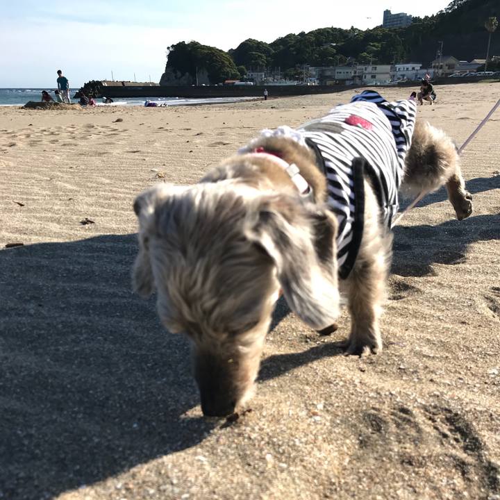 2dd2919a 9d41 4a78 a6a1 9d2f79c8fc05 1526854114313