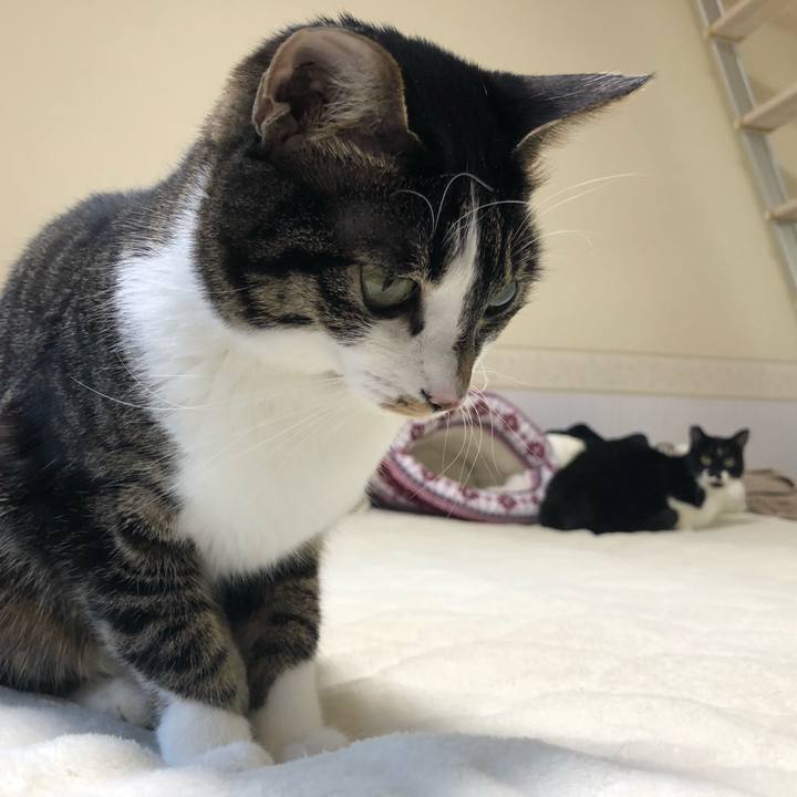 2dd29561 8562 42ad a09c 4af83bdf26df 1547928436752