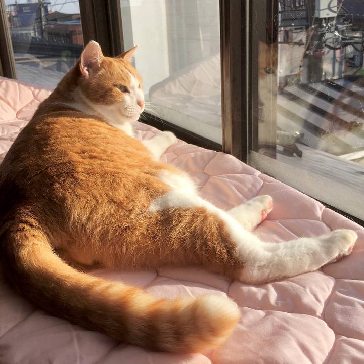 2dd2b436 2516 427f 99d0 d15960620f7b 1577171203453