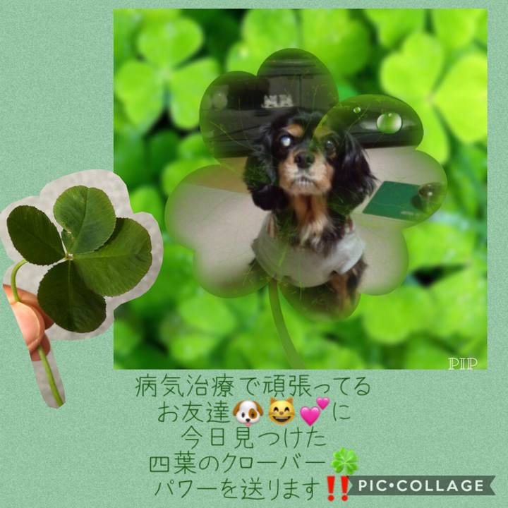 2dd2d73c a7ed 4f30 aed4 a4705e032078 1590671071162