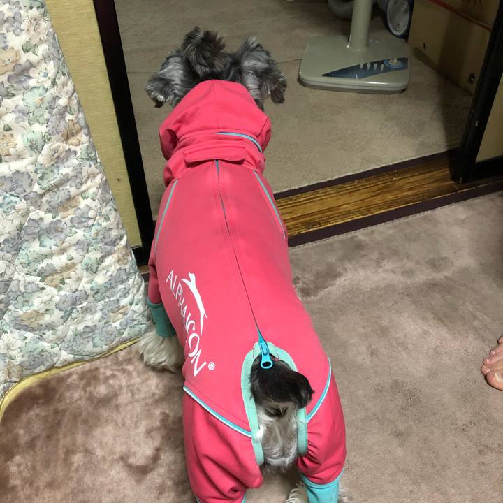 2dd2e63c db15 4e7f b5b6 21c22267ccb4 1664001168268