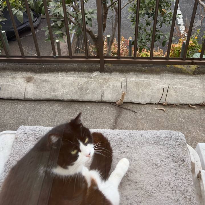 2dd31f9f cfde 4061 b1b2 6a092ab35b20 1772065975885