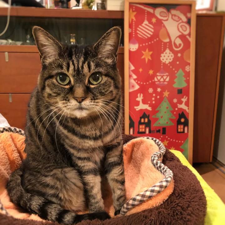 2dd32519 b894 45f7 94f8 268e143de829 1765934615653