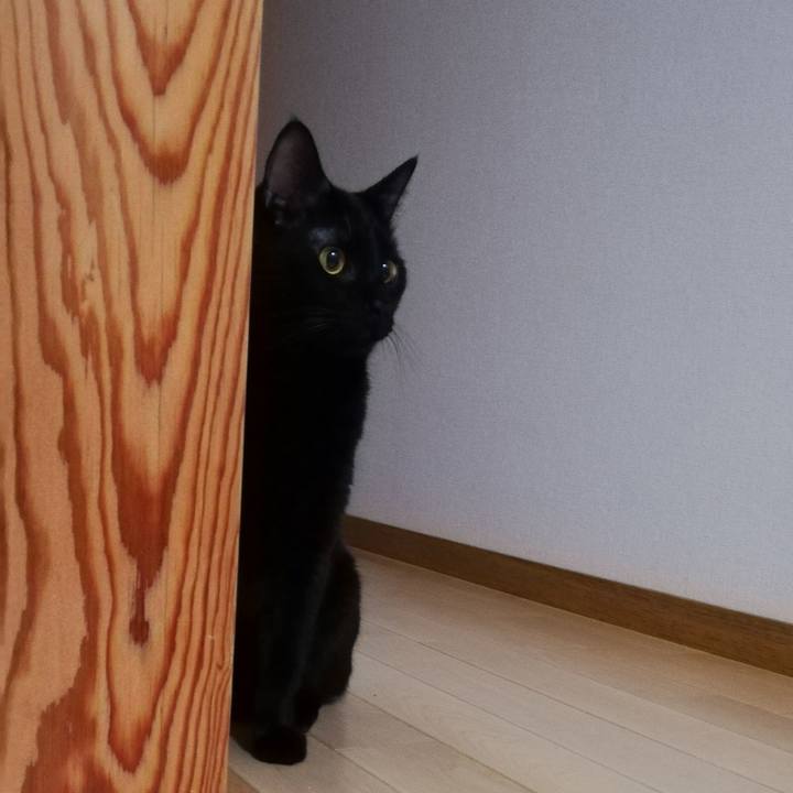 2dd32b75 c86f 456f aa05 cbb052b20496 1629203436282