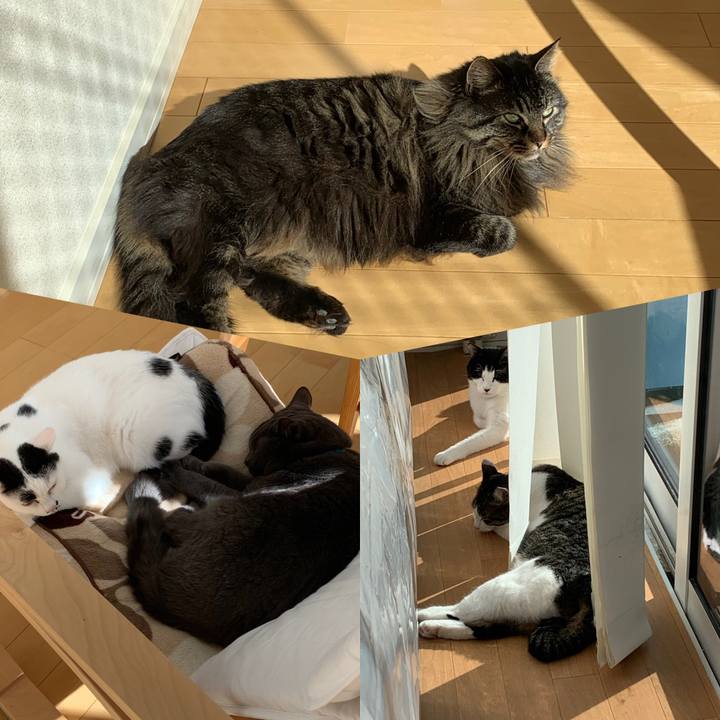 2dd337fe 968d 4732 87ea 4a31f0f0a9df 1738378331369