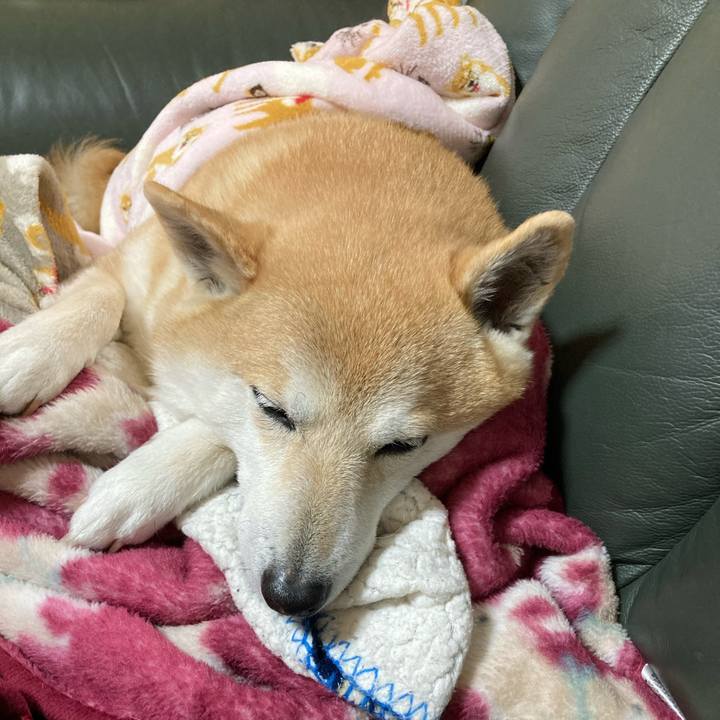 2dd35084 4d5f 4a04 b91c 66e915afa753 1615881573753