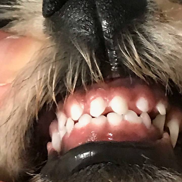 2dd352b9 6460 4d7b a53c 989d8cb84275 1552302127362