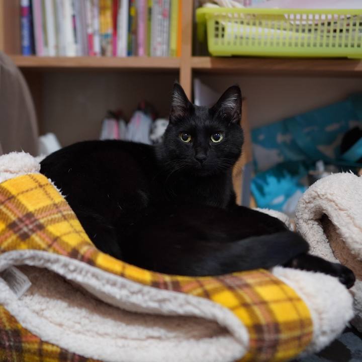 2dd3625c b5e9 4422 baa1 423088b5195d 1610282581542