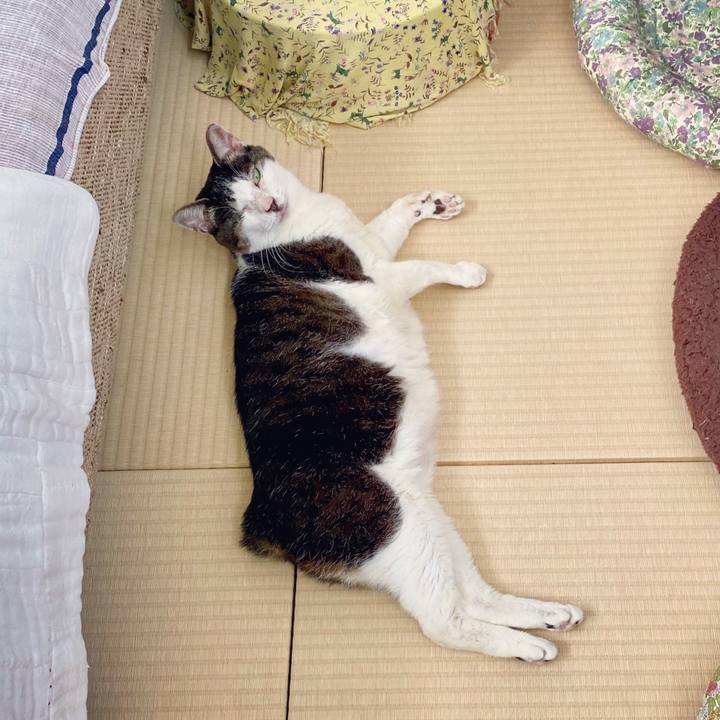 2dd37677 43bb 41ed 8a2d 1091338a1de0 1596172903206